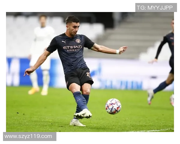 费兰托雷斯：从新星崛起到足球巨星的华丽转身与未来展望