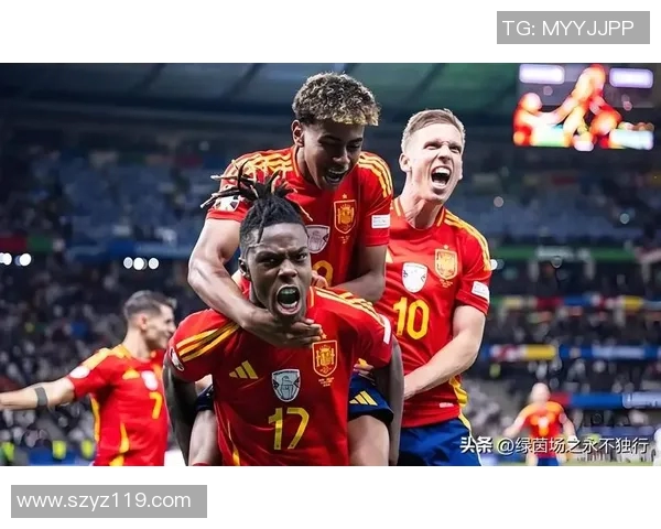 2016年葡萄牙与荷兰激战回顾：精彩瞬间与战术分析