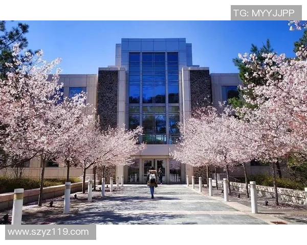 对话黄敏:回顾乒乓球生涯与未来展望的深度访谈MBA