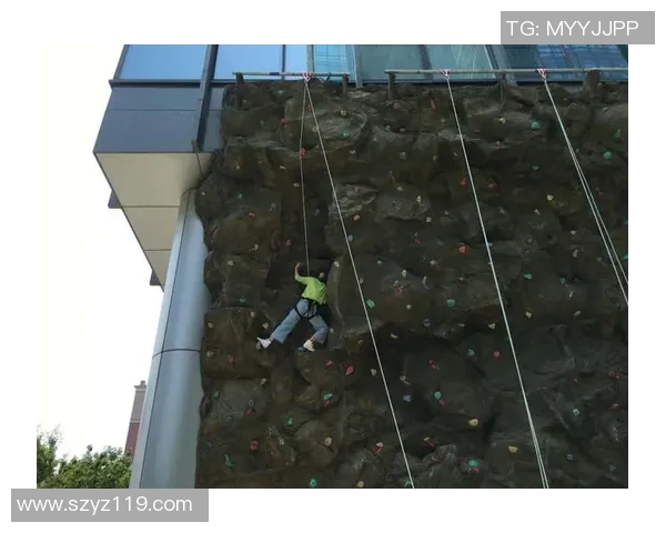 北京攀岩队节奏表现数据分析揭示训练与比赛的关键因素 北京攀岩队节奏表现数据分析揭示训练与比赛的关键因素