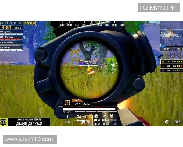 和平精英战术深度解析：TES团队配合与战略布局全景揭秘